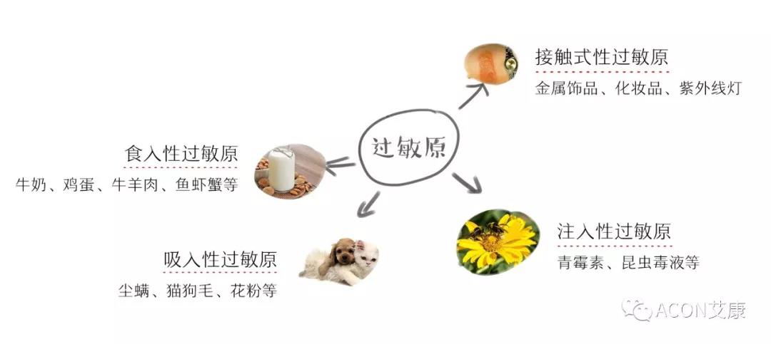 APAAACI 2019 | 深入解讀過敏原：從診斷到治療，優(yōu)化過敏原診斷管理——艾康生物過敏原檢測分會(huì)