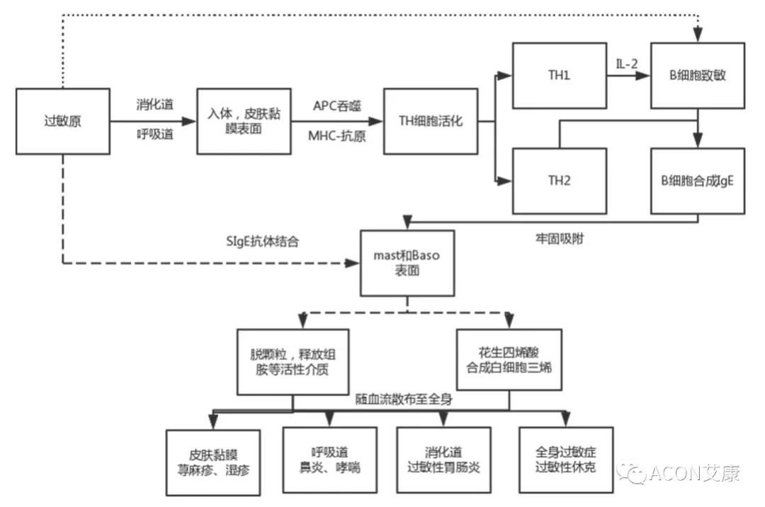APAAACI 2019 | 深入解讀過敏原：從診斷到治療，優(yōu)化過敏原診斷管理——艾康生物過敏原檢測分會(huì)