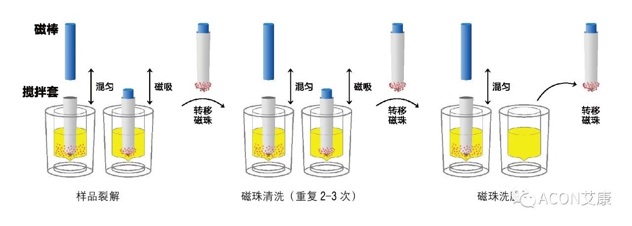 Promotor?核酸提純儀， 讓基因提純更便捷。